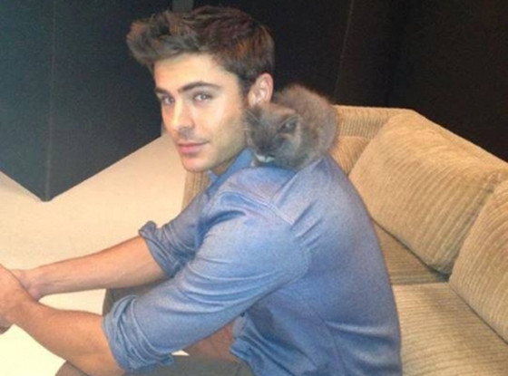 Zac Efron Poses With A Ridiculously Cute Kittensee The Precious Pic